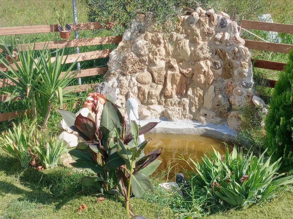 Vonkajšia záhrada v ubytovaní Konstantinos holidays house