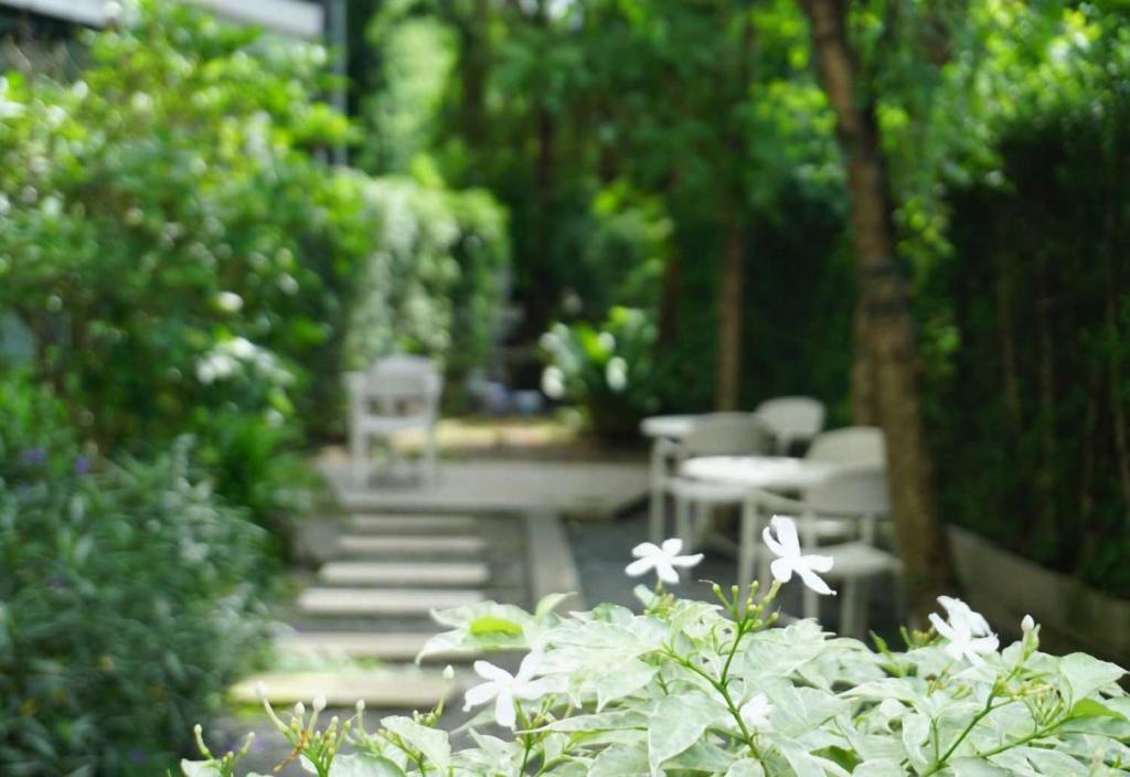 Collection O The Singha Chiangmai Hotel