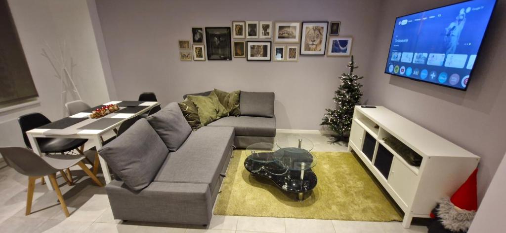 un salon avec un canapé et une télévision à écran plat dans l'établissement Entire house with arcade machine in a private backyard, 3 bedrooms, 1 bathroom, 1 leaving room with convertible sofa and open kitchen, à Mulhouse