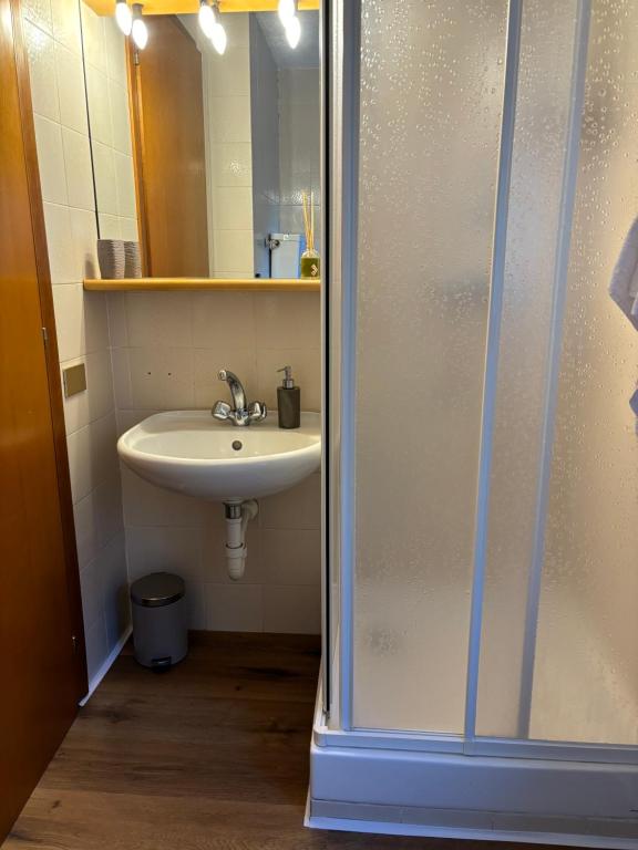 łazienka z umywalką i prysznicem w obiekcie Casa Porrone w mieście Passo del Tonale