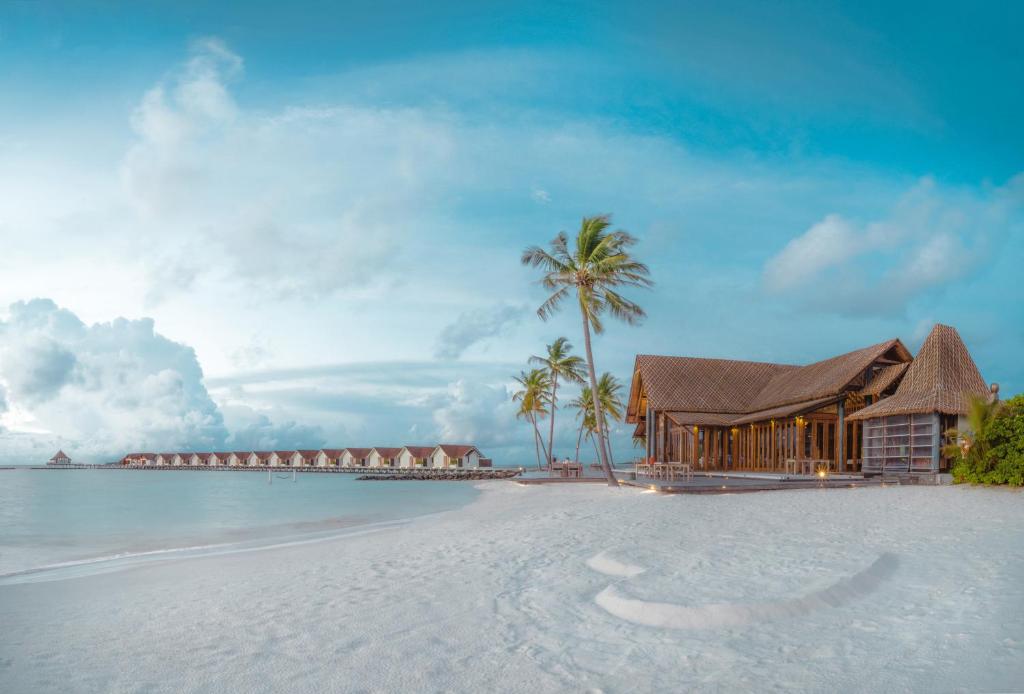 Furaveri Maldives - COMPLIMENTARY ROUND-TRIP SEAPLANE TRANSFER FOR TWO FOR A MINIMUM OF 5 NIGHTS OR MORE FOR STAYS 1ST MAY 2026 TO 23RD DECEMBER 2026 - View 34
