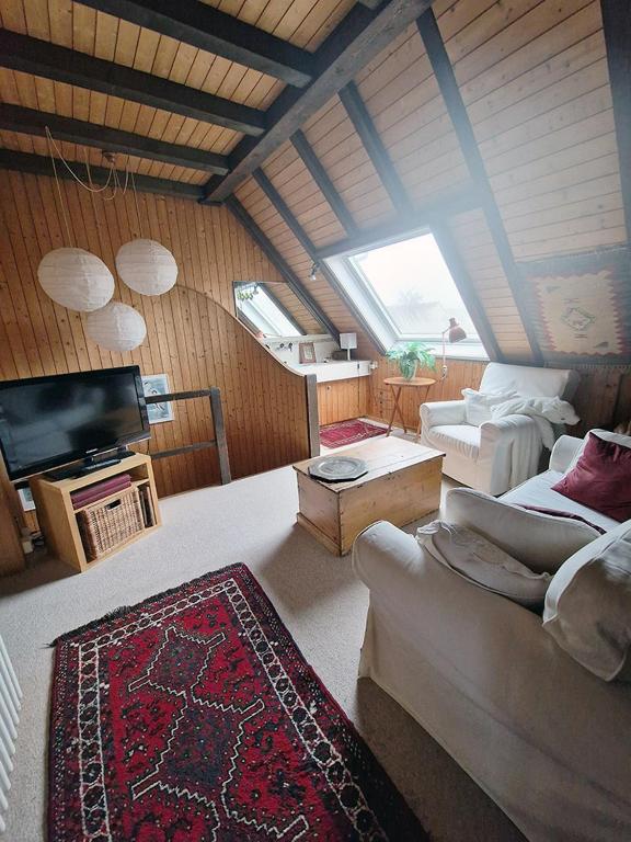 TV a/nebo společenská místnost v ubytování Irchel Residence