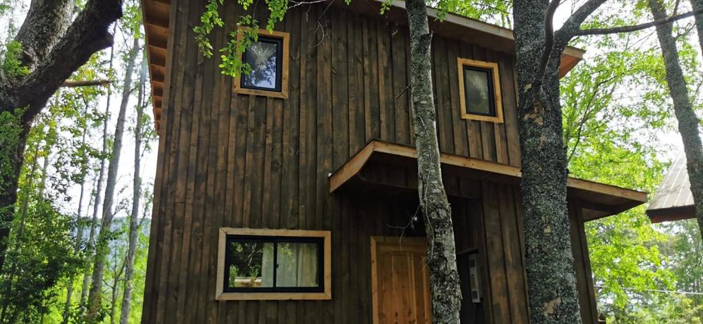 ein Baumhaus mitten im Wald in der Unterkunft Cabañas y Casas Hualles in Coñaripe