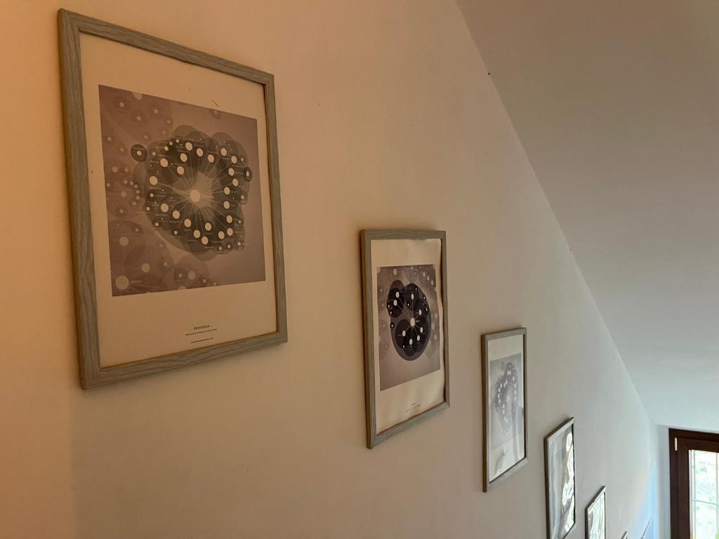 Fotografie z fotogalerie ubytování Escuelita Viva v destinaci Ostia Antica