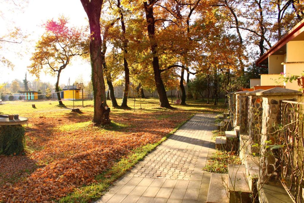 Zahrada ubytování Kvareli Oaks