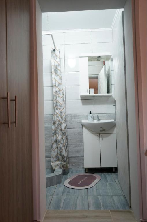 Koupelna v ubytování Sobe Jovan