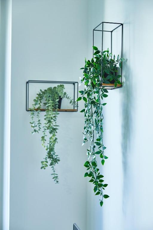 BE-2D Joli 3 pièces tout équipé pour 1-4 pers 2ème étage au centre de Mulhouse – photo 18