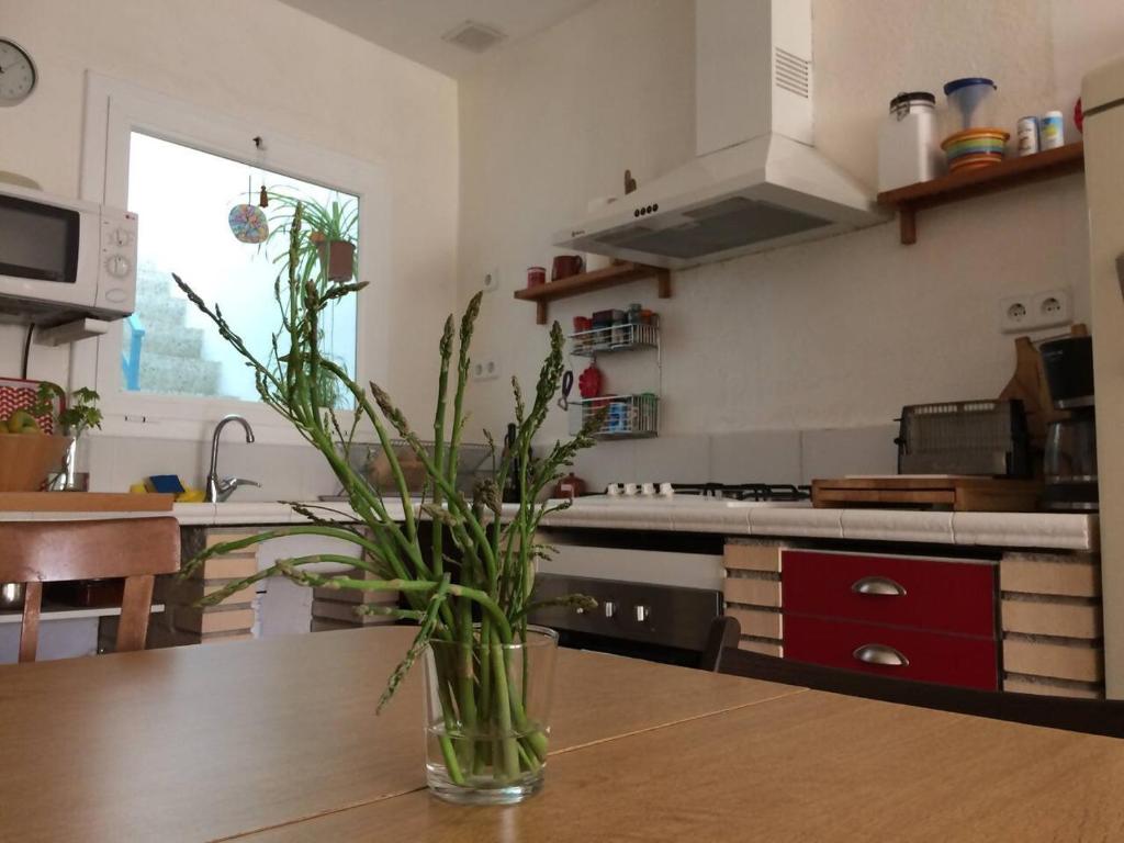 Kuchyň nebo kuchyňský kout v ubytování Casa taller Penelles