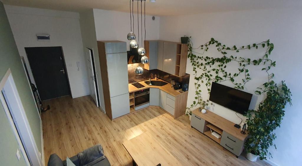 Apartament Green Loft Centrum - Hizvo