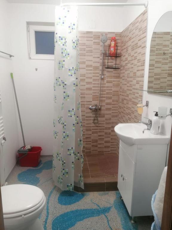 Koupelna v ubytování Casa Muresan