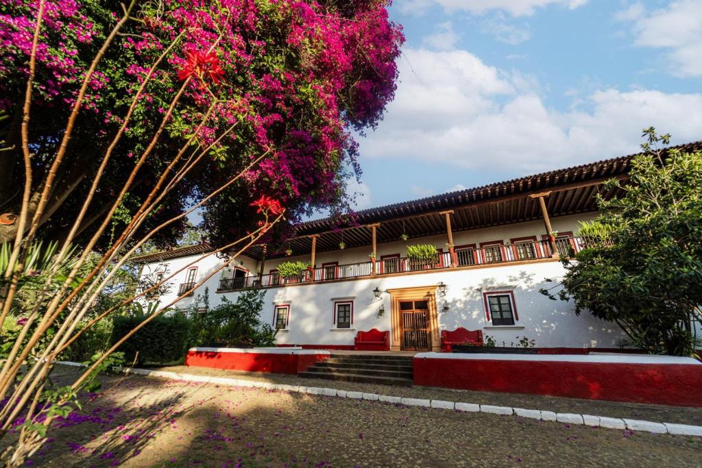 Zahrada ubytování Best Western Plus Posada de Don Vasco