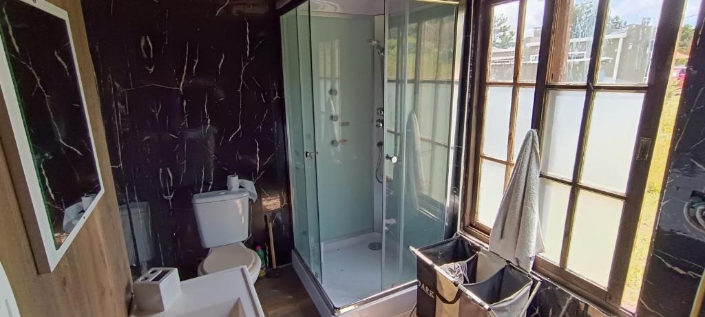 un bagno con doccia in vetro e WC di Terraza del Pittamiglio a Maldonado