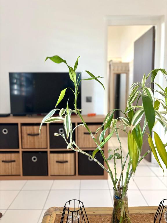 a vase with a plant on a table in a kitchen at Le Gîte Ohana - Proches des plages et jardin privé in Saint-François