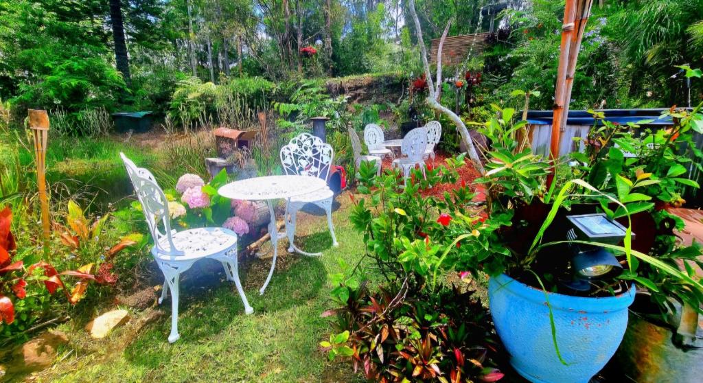 ein Garten mit Stühlen und einem Tisch und einigen Blumen in der Unterkunft Blue Horizon, Couple's GC Hinterland retreat in Tallebudgera