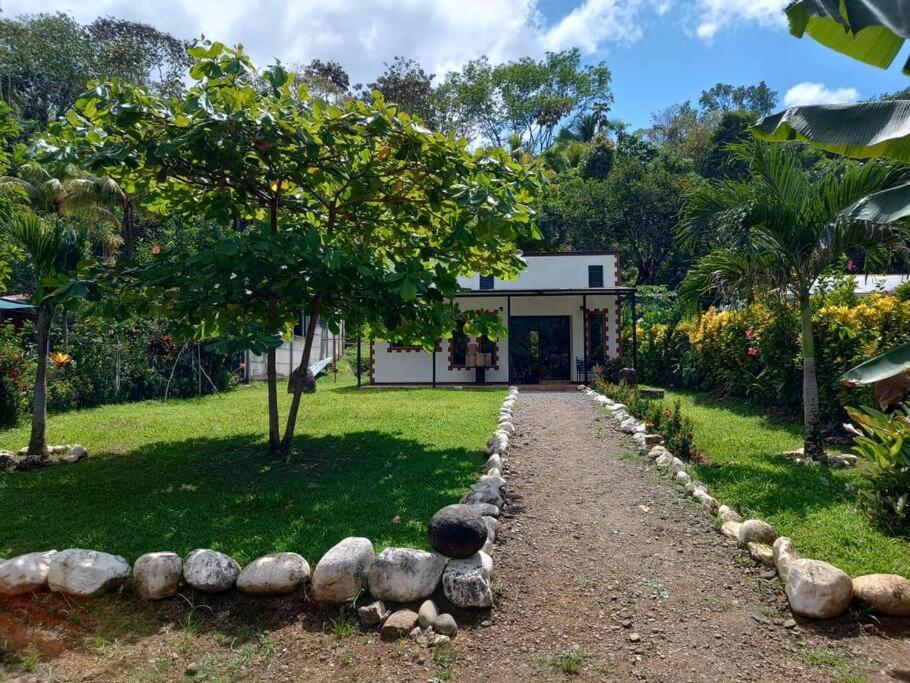 a garden with a stone path leading to a house at Casa huéspedes Noe in Coronado