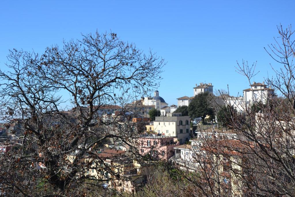 Nespecifikovaný výhled na destinaci Ariccia nebo výhled na město při pohledu z apartmánu