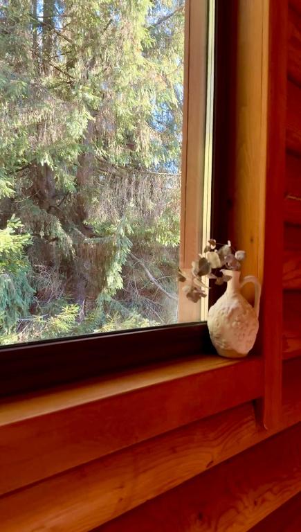 Fotografie z fotogalerie ubytování Cottage Kalinka v destinaci Bukovel