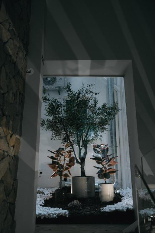 M'AR De AR Auria - Resim 45