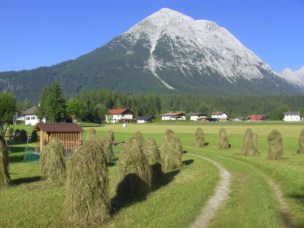 Příroda nedaleko penzionu