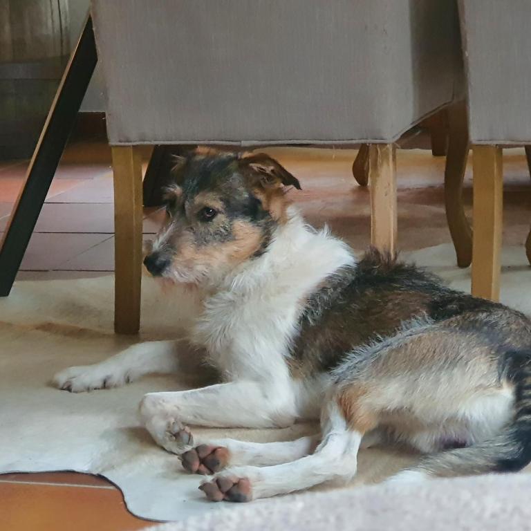 SAM - your cozy stay near Hamburg-Airport - Resim 31