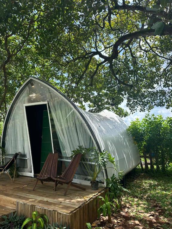 Tropical eglamping - Error
