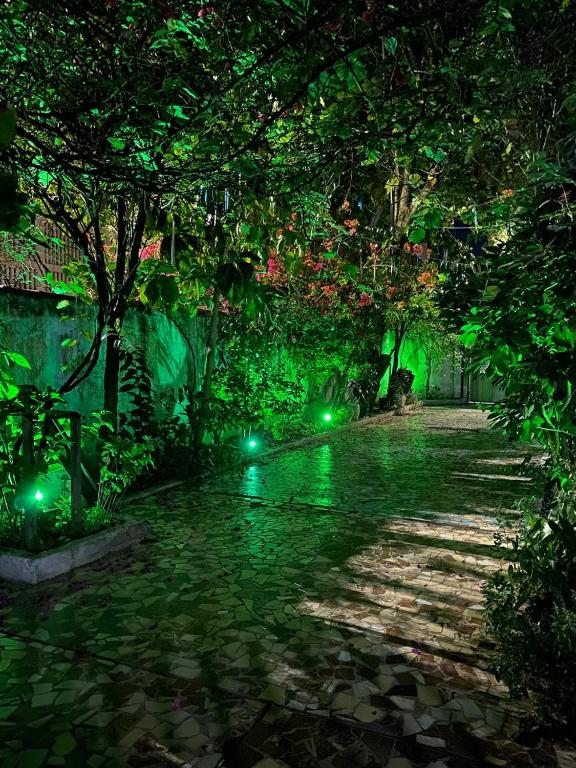 Um jardim em Pousada 4 cantos