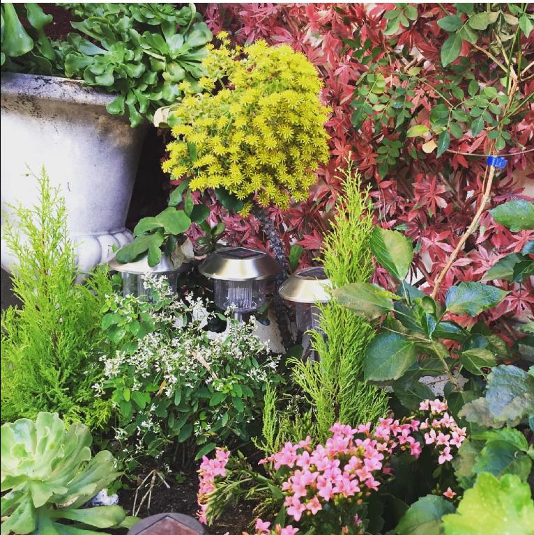 Hotel Danemark - Resim 39