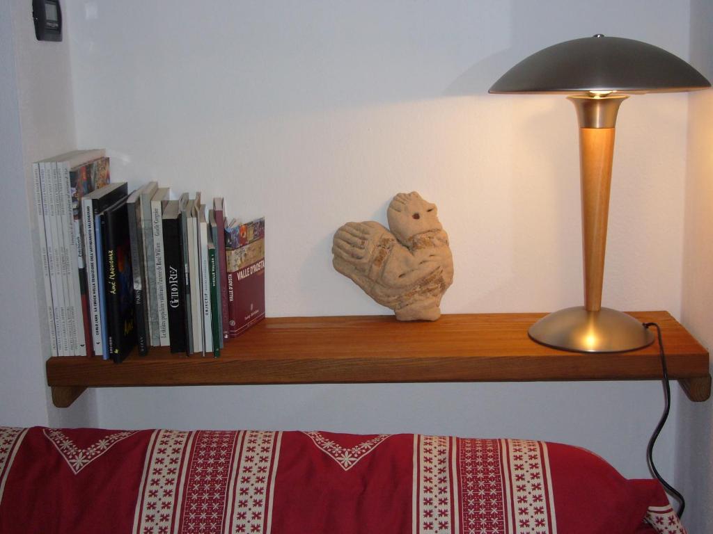 The library in the country house
