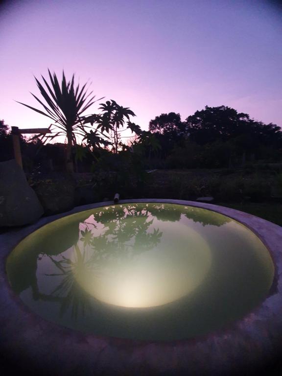 Hồ bơi trong/gần Desa Air Hot Springs & Glamping