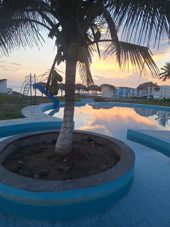 Bazén v ubytování La Playita nebo v jeho okolí