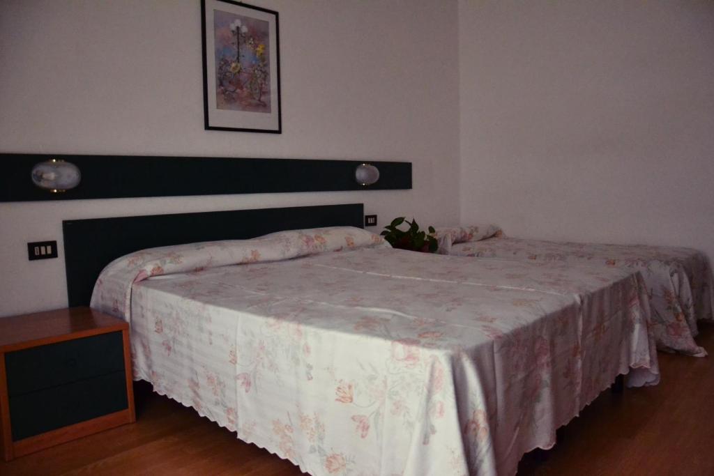 Postel nebo postele na pokoji v ubytování Hotel Rex
