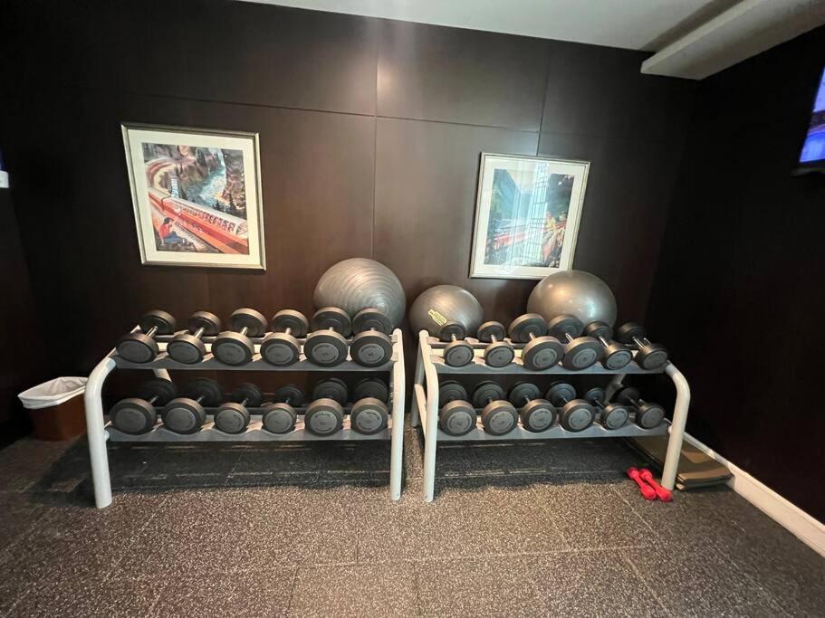 Fitness centrum a/nebo fitness zařízení v ubytování FIRST CLASS 2BR with full DUBAI DOWNTOWN SKYLINE view