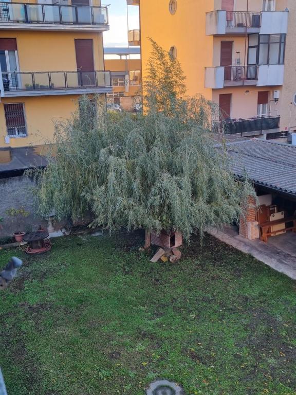 Zahrada ubytování La Torre di cry & cry