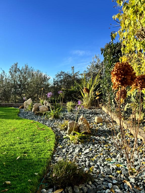 A garden outside Ca Paradiso