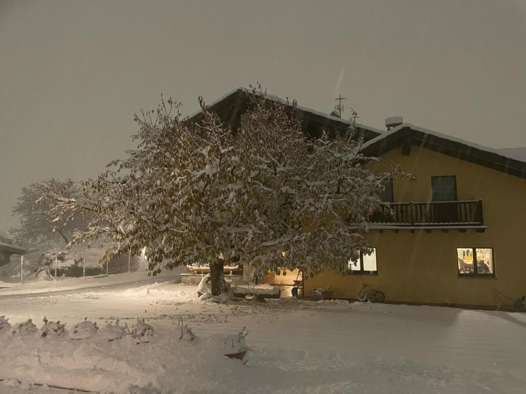 La Vigne de Papagran v zime