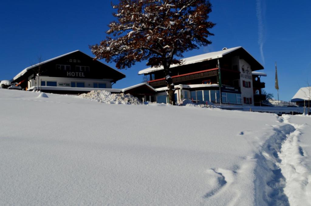 Hotel Alpenblick v zimě