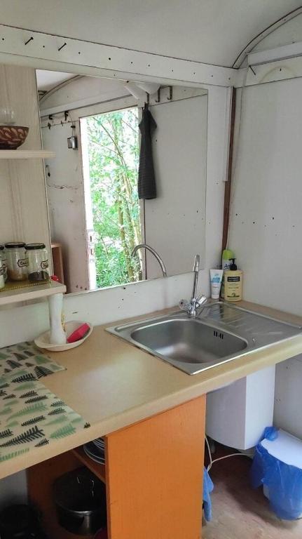 Kuchyň nebo kuchyňský kout v ubytování Maringotka Na Jamajce