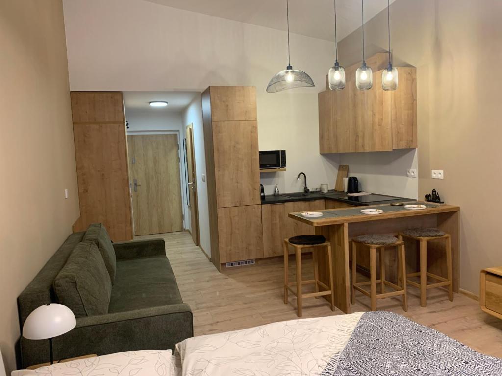 Kuchyň nebo kuchyňský kout v ubytování Comfort Apartments with parking - Tale