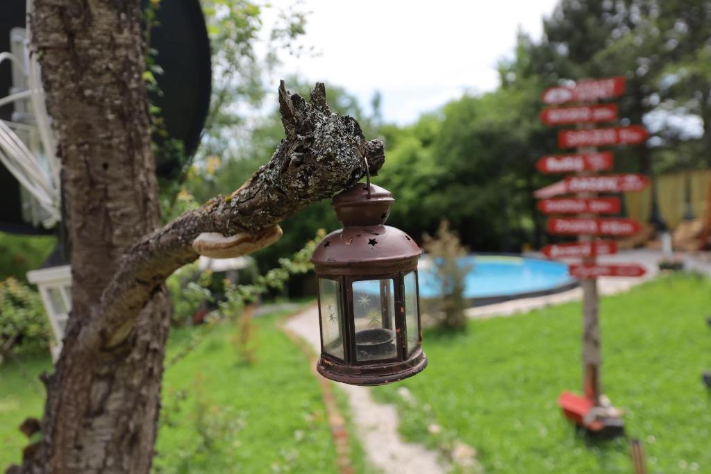 Zahrada ubytování Forest Home