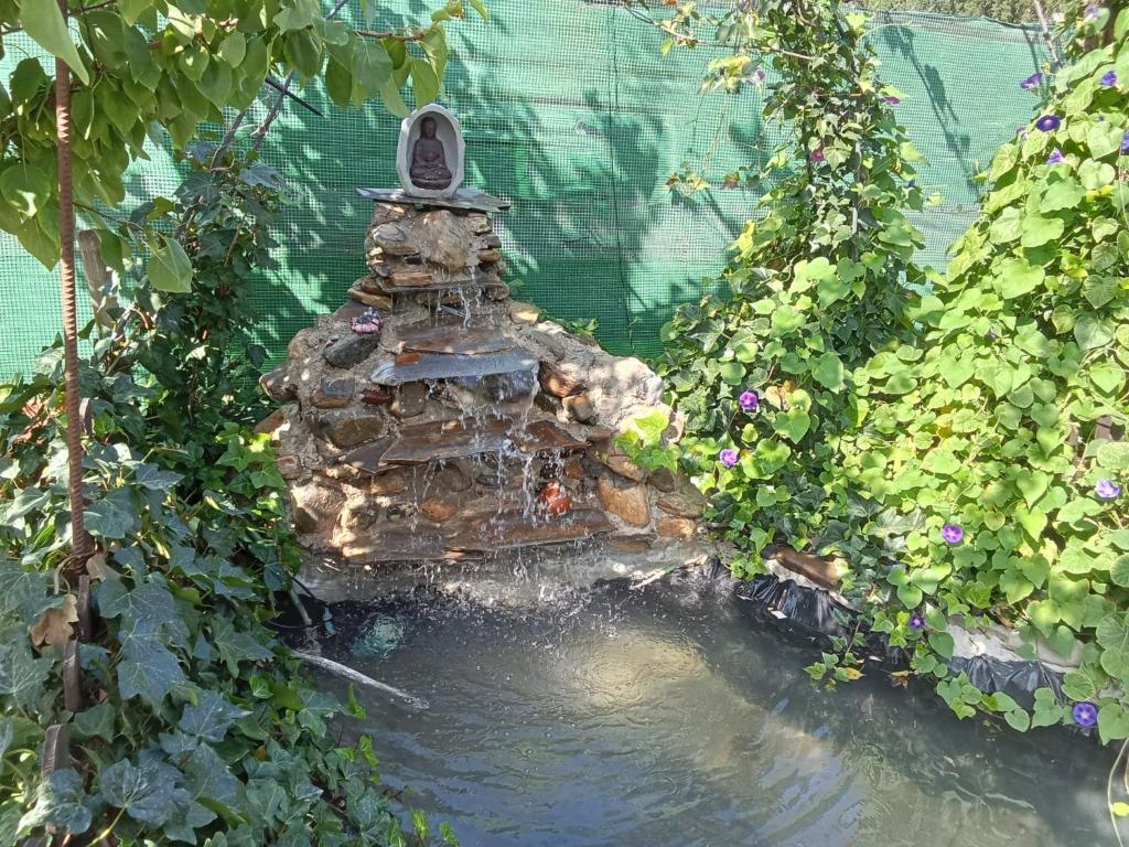 a fountain in the middle of a pond with plants at Cortijo Luz de la Sierra in Dúdar