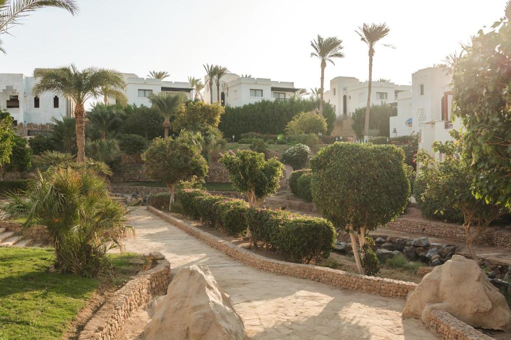 Zahrada ubytování Sharm Resort