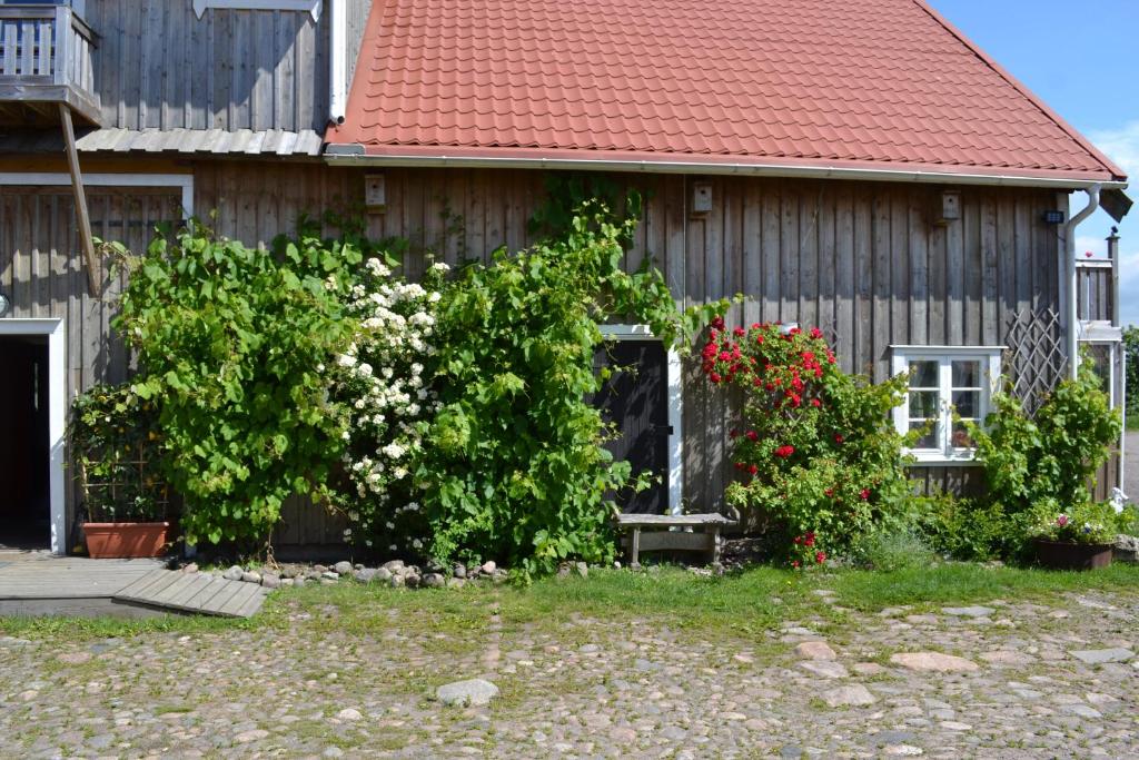 Zahrada ubytování Gits Gard