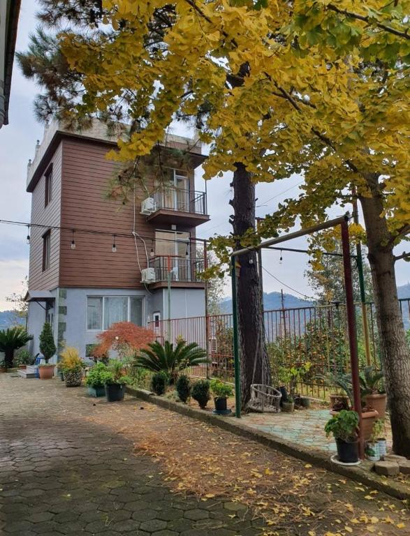 a house with a tree with yellow leaves on it at GT House Batumi in Batumi