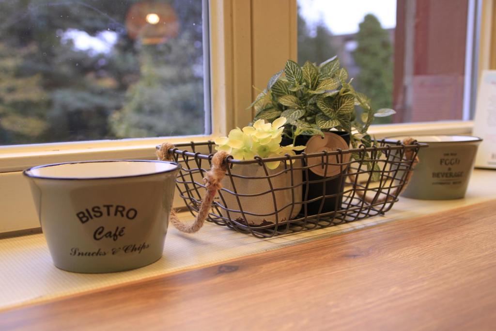 three plants in a basket sitting on a window sill at Villa Kolck in Xanten