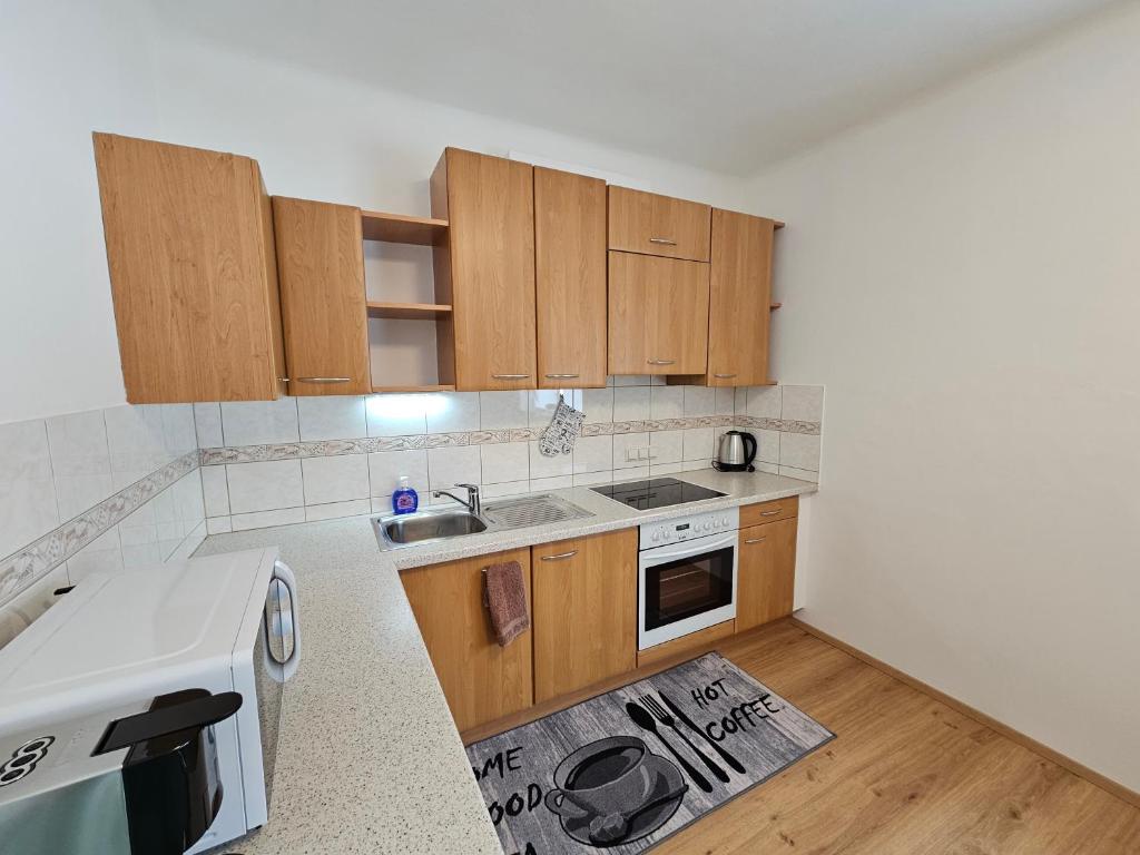 Kuchyň nebo kuchyňský kout v ubytování Ferienwohnung Blick Martennock