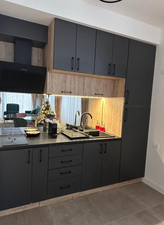 Eldhús eða eldhúskrókur á Apartman Little fox Divčibare
