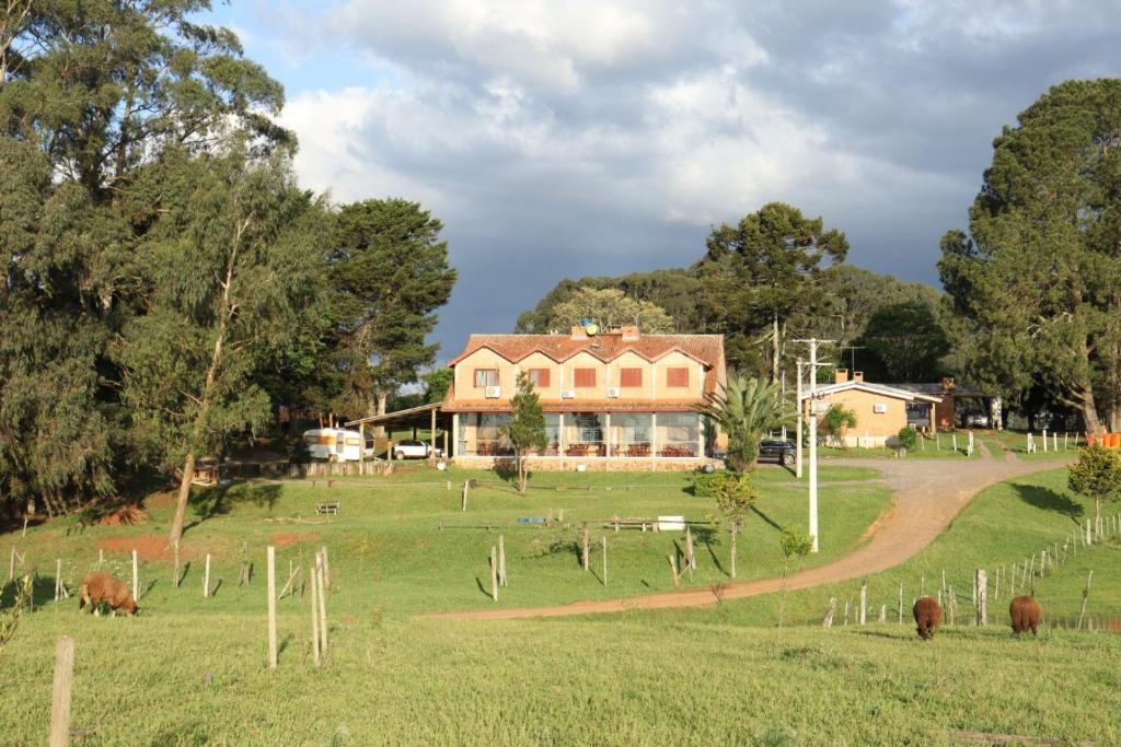 une maison dans un champ avec des vaches dans l'herbe dans l'établissement Hotel Fazenda Capao do Indio, à Vacaria