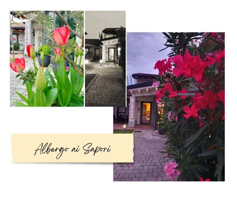Zahrada ubytování Albergo ai Sapori