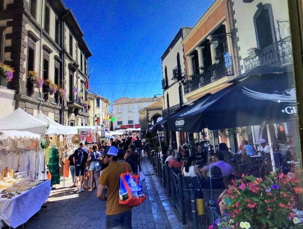 Un groupe de personnes marchant dans une rue avec un marché dans l'établissement Appartement nieuw en ruim, à Marseillan