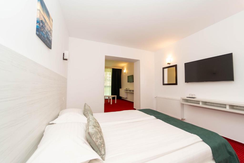 TV a/nebo společenská místnost v ubytování Hotel Cirus